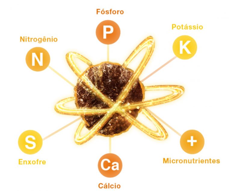 Imagem ilustrativa dos nutrientes do fertilizantes Athos