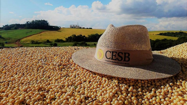 Paisagem com campo verde no fundo e a frente vários grãos de soja e por cima, um chapéu feito de juta com o nome CESB bordado.