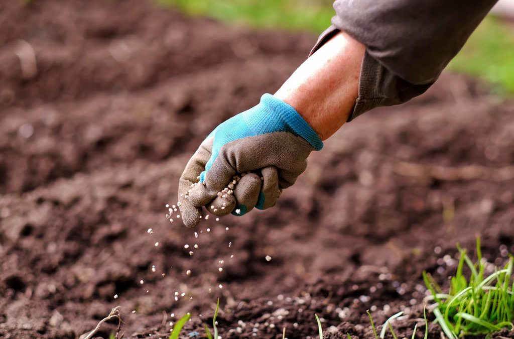 Como usar a “Lei do Mínimo” para racionalizar os investimentos com fertilizantes