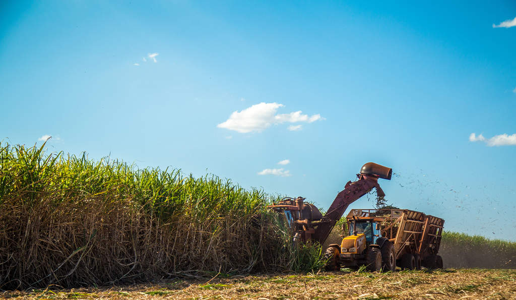 Inovação em nutrição de solo beneficia produção de cana-de-açúcar
