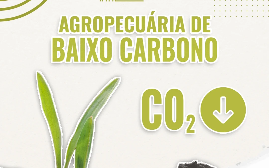 Ep.1 – Agropecuária de Baixo Carbono