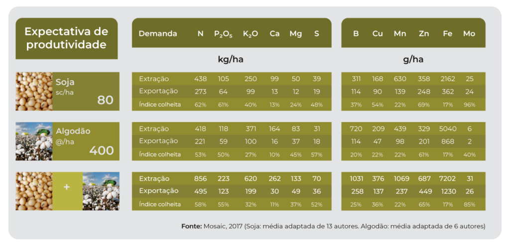 tabela com volume de produtividade.