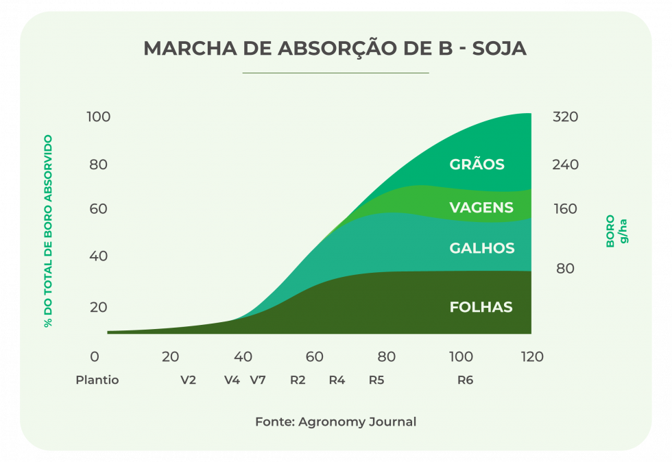 Boro Nas Plantas: Uso E Aplicações - Nutrição De Safras