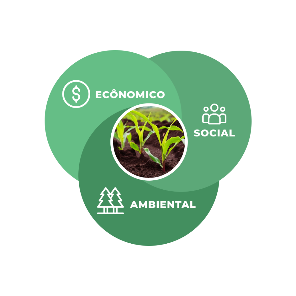 representação esquemática dos três grandes pilares da sustentabilidade na agricultura