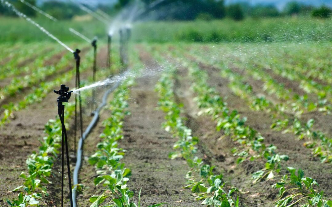 Irrigação do solo: Estratégias Eficientes para Manter a Umidade