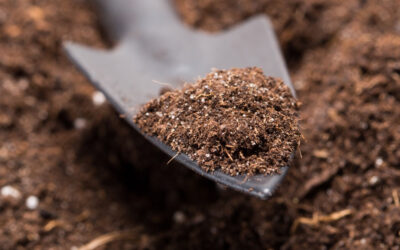 Acidez do solo: como alcançar altas produtividades