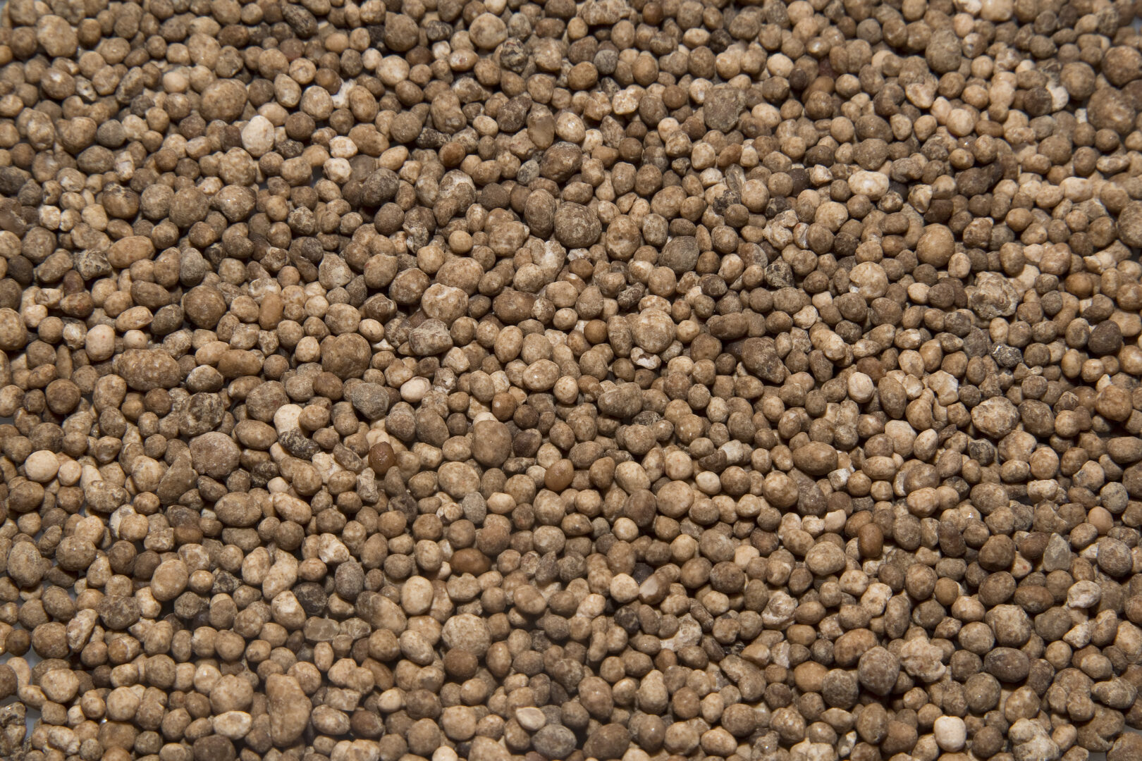Grânulos de fertilizantes de coloração marrom - K-mag