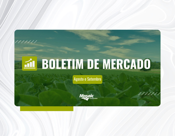 Plantação de soja ao fundo com título de Boletim de Mercado e logo da Mosaic Fertilizantes.