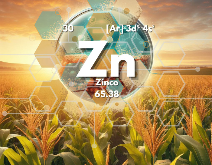 Imagem do milharal com a informações químicas do zinco