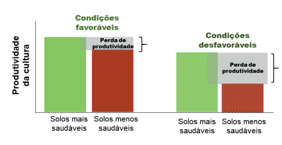 Gráfico que representa o impacto as saúdes do solo na produtividade das culturas. 