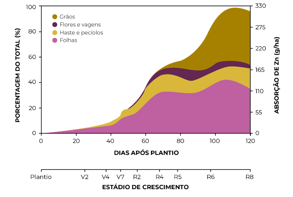Gráfico que mostra a quantidade de zinco absorvida pelas plantas (g/ha) e distribuição do zinco absorvida nas diferentes partes das culturas em função dos dias após o plantio da cultura da soja.