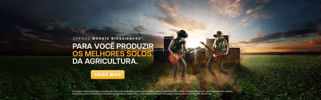 dois homens tocando guitarra e baixo em maio ao campo.