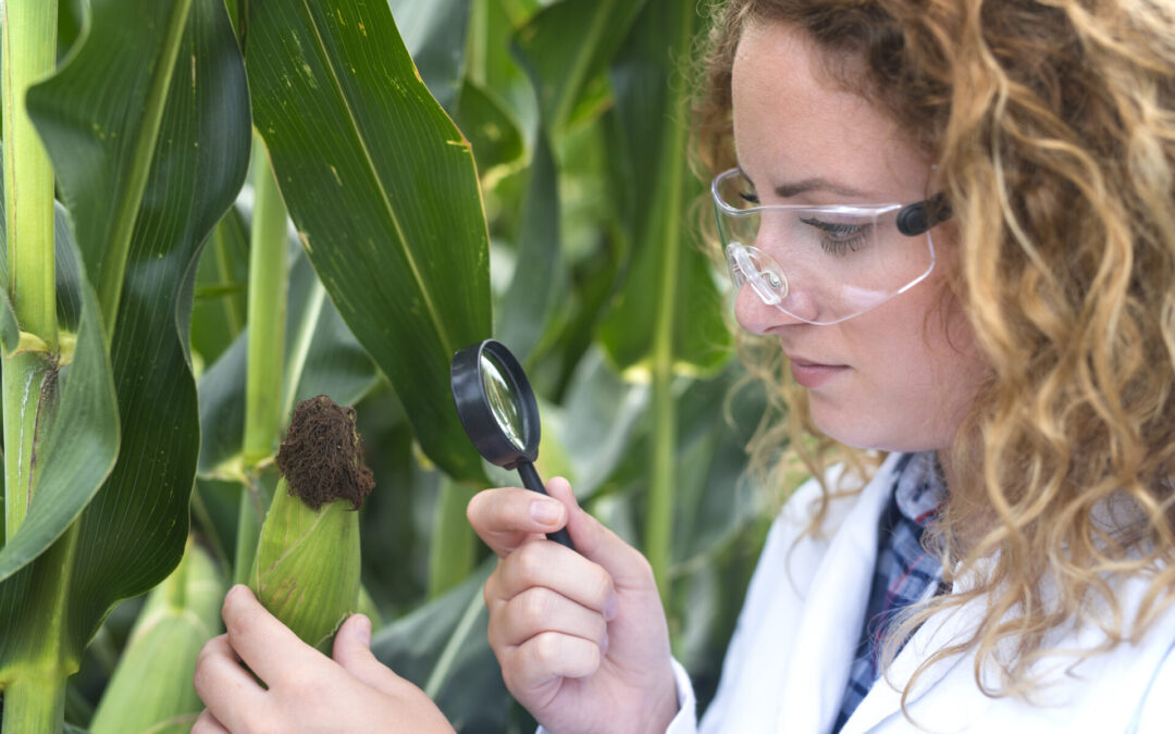 Biotecnologia na agricultura: como funciona e quais os benefícios
