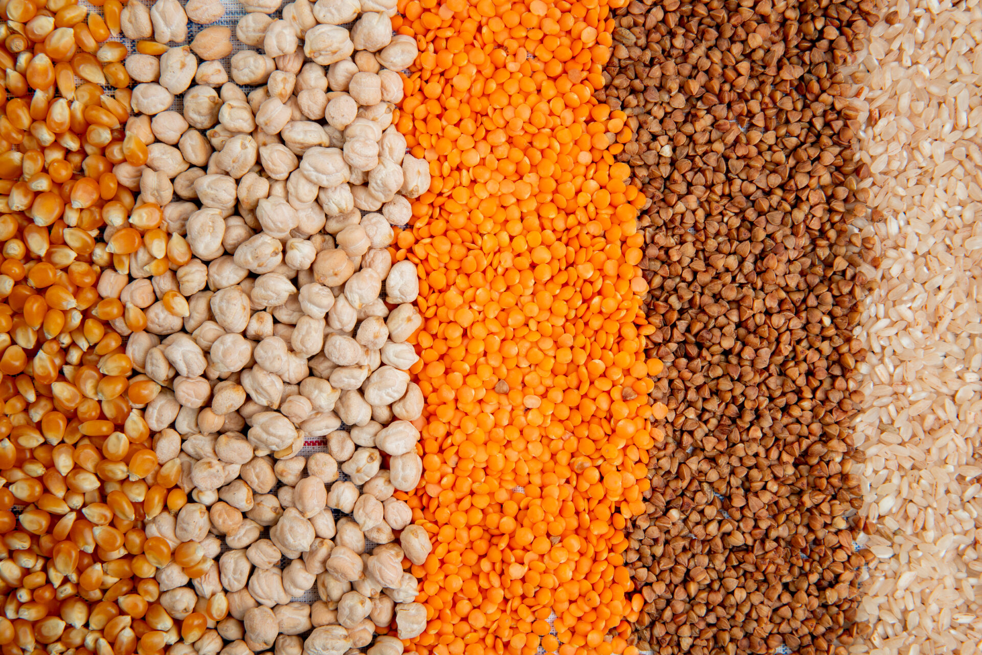 Fundo de diferentes tipos de cereais sementes de milho grão de bico lentilhas vermelhas trigo e arroz vista superior.