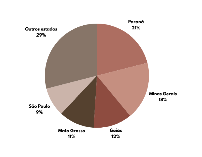 Gráfico que apresenta os maiores produtores de feijão no Brasil.