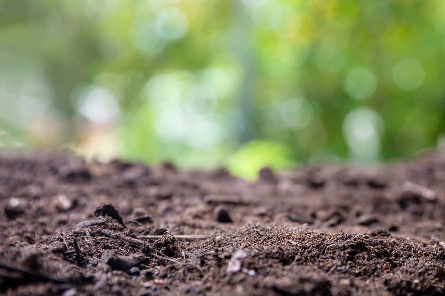 Conheça os principais tipos de solo e suas características