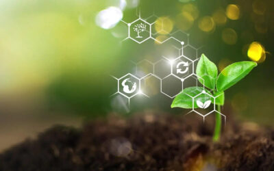 Bioinsumos: a revolução sustentável para o futuro