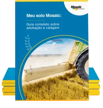 Ebook Meu solo Mosaic