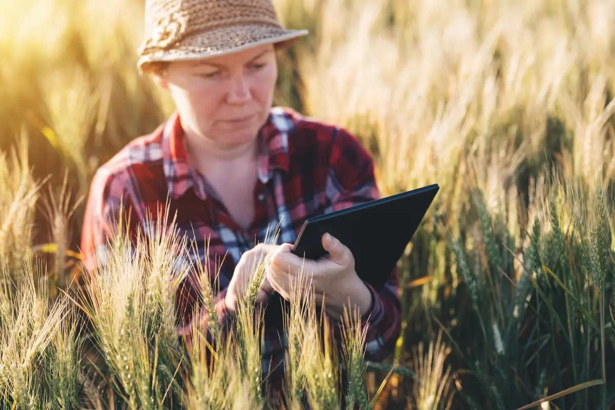 Tecnologia na agricultura: o que é, importância e benefícios