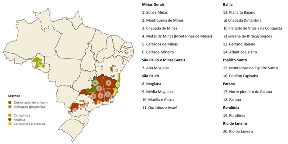 mapa da cafeicultura no Brasil
