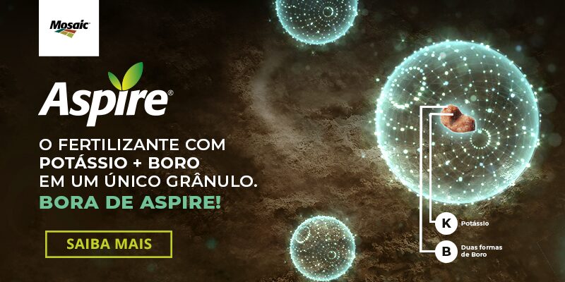 banner-aspire