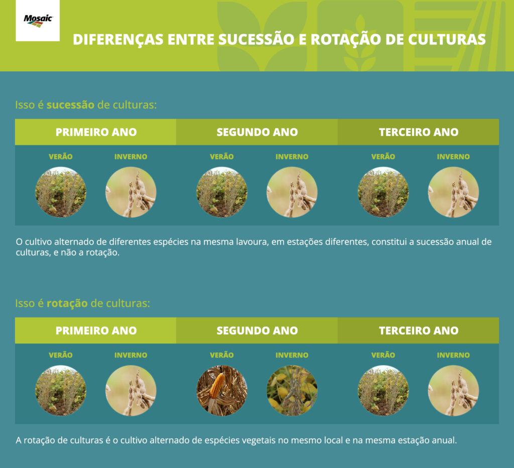 diferença de sucessão e rotação de culturas