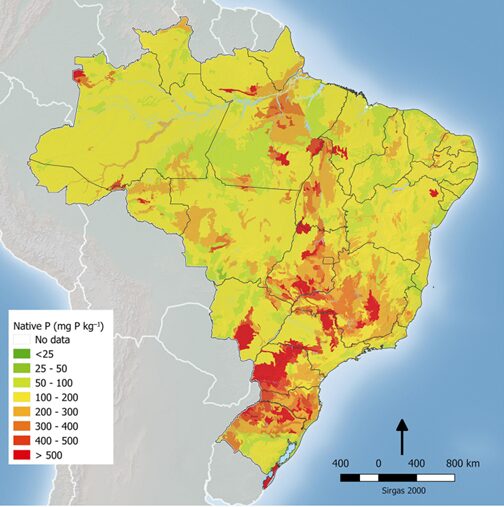 mapa do Brasil com atestando a baixa disponibilidade de fósforo nativo no Brasil