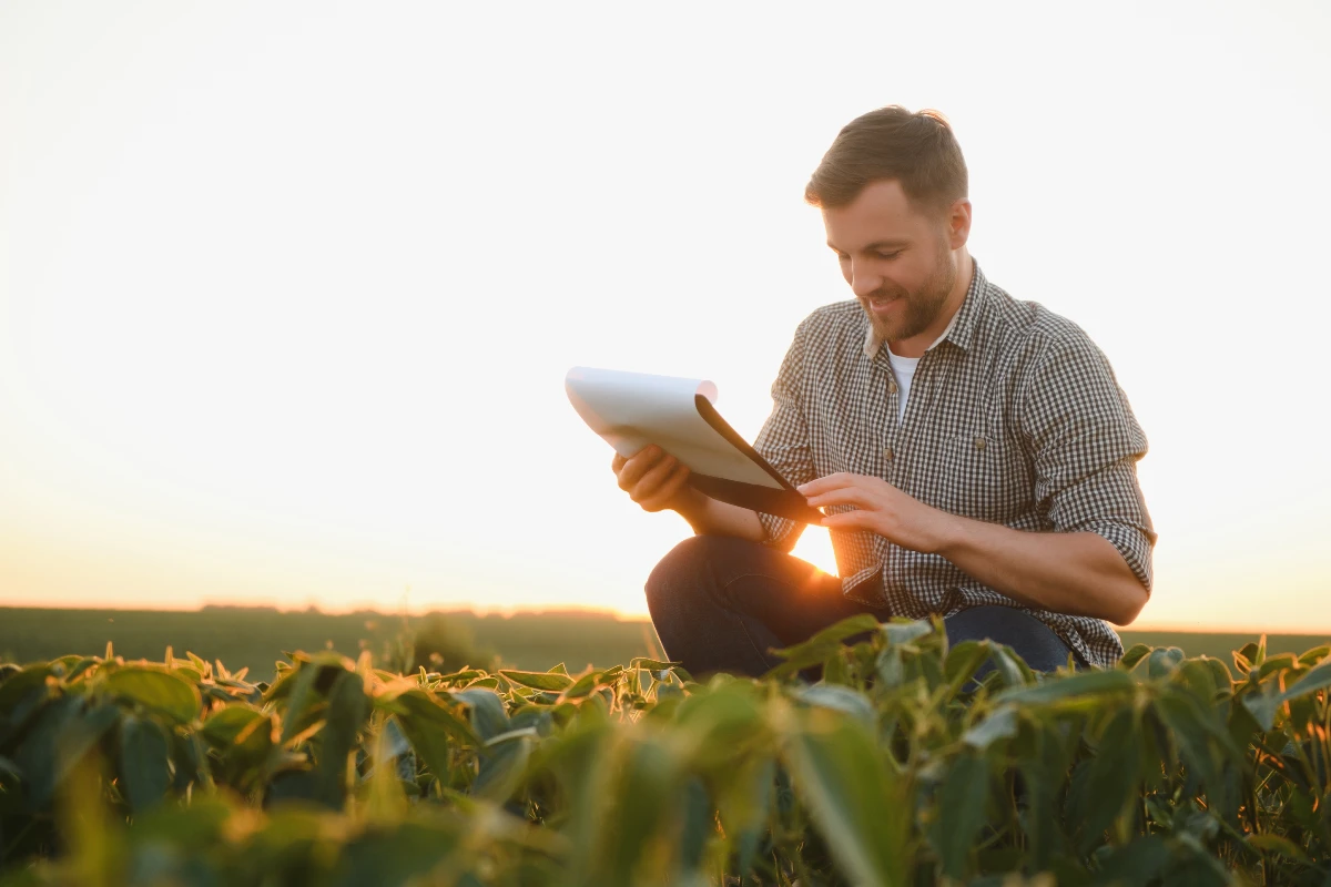 On farm: o que é o sistema, como ele funciona e benefícios para produtores