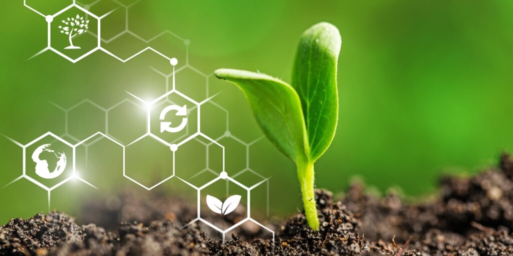 dia mundial da agricultura - bioinsumos