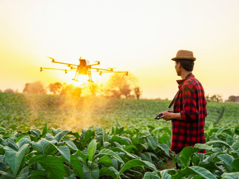 dia mundial da agricultura - homem usando camisa xadrez no campo