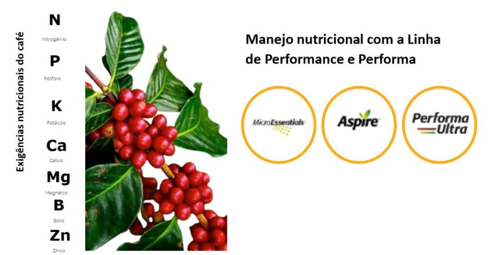 manejo nutricional para café