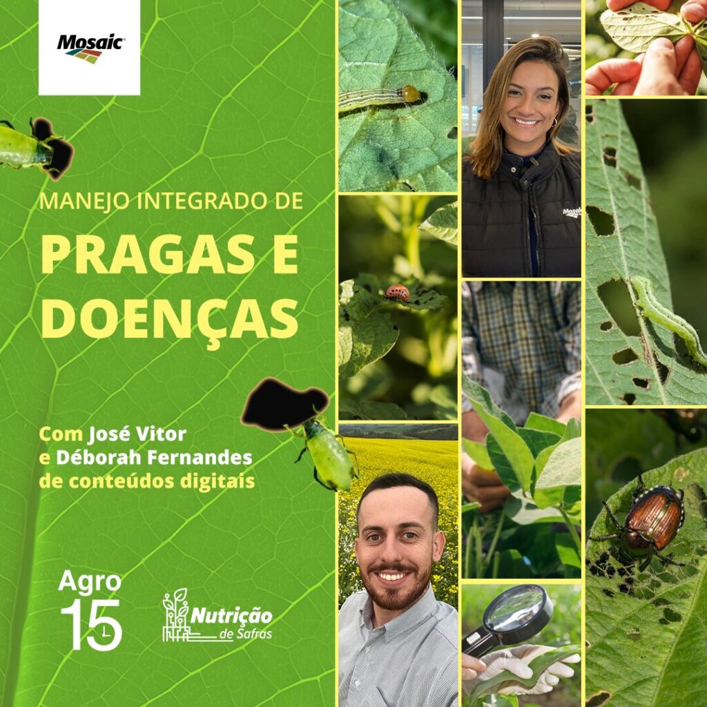 Podcast Nutrição de Safras - Manejo integrado de pragas e doenças