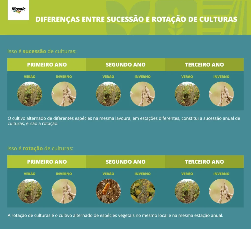 diferença de sucessão e rotação de culturas