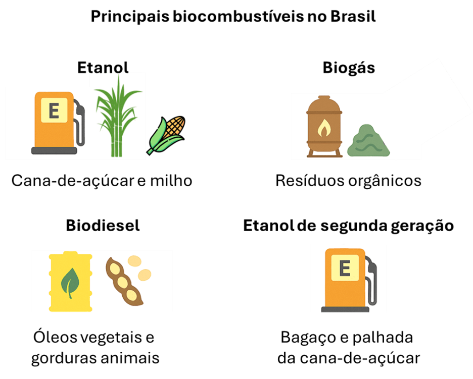 principais tipos de biocombustíveis
