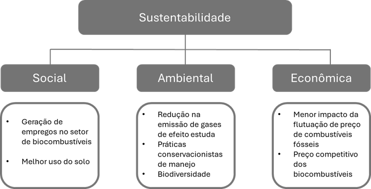 tipos de sustentabilidade
