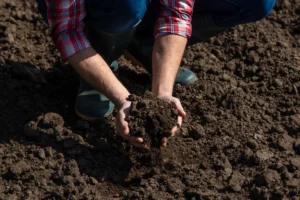 Agricultor verificando o solo.