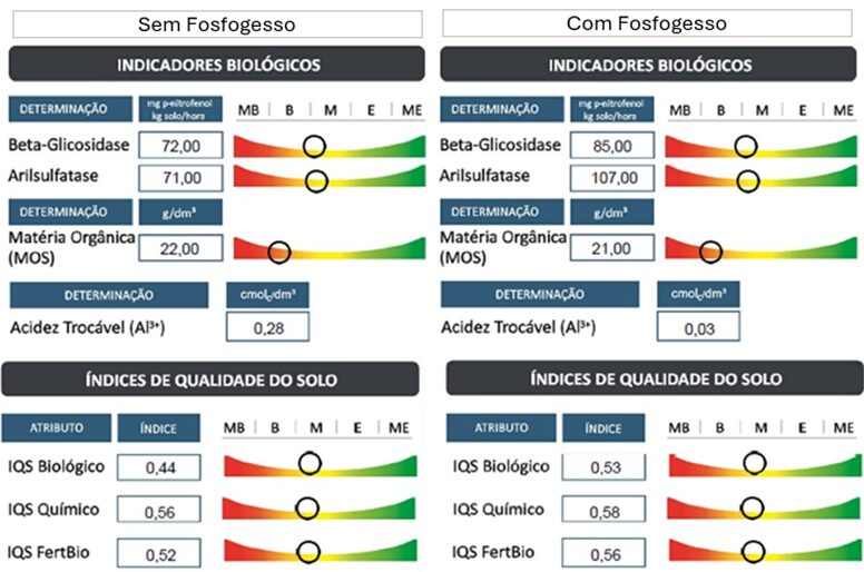 perfil do solo com e sem fosfogesso