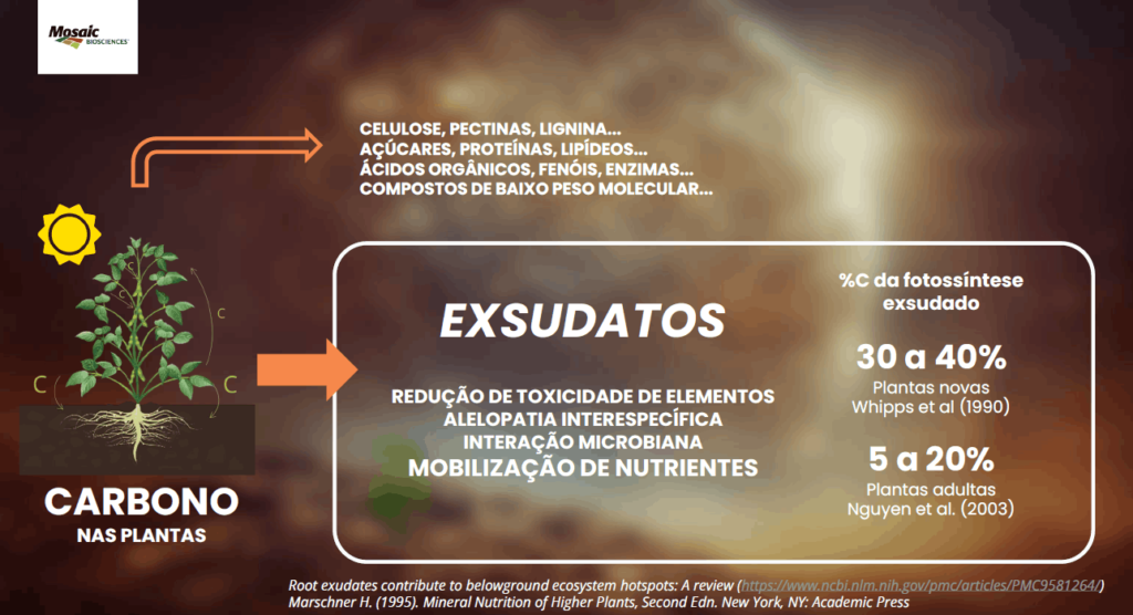 dados referenciais tecnologia BioBlend