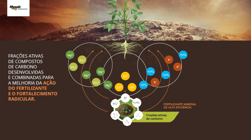 funcionamento tecnologia BioBlend