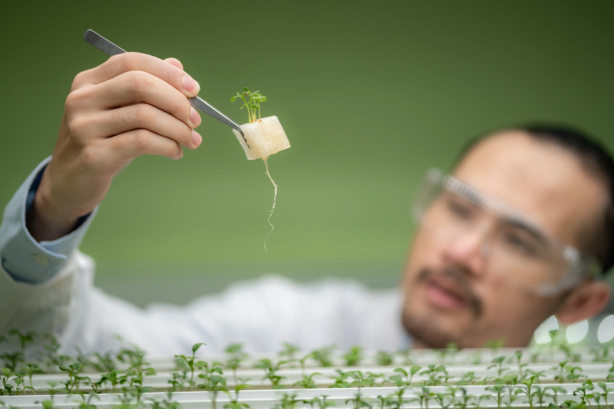 Inovação e tendências em nutrição sustentável de safras