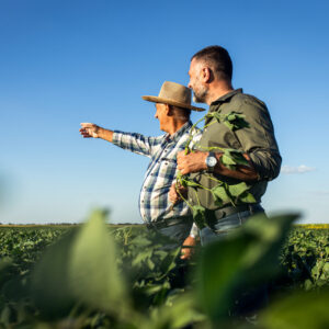 5 dicas para realizar uma sucessão familiar efetiva no agronegócio