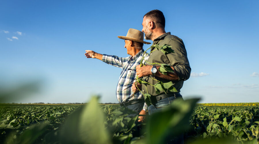 5 dicas para realizar uma sucessão familiar efetiva no agronegócio