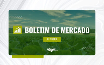 Boletim de mercado dezembro- imagem de plantação de soja