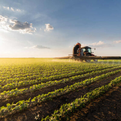 Adubação foliar: princípios e práticas dessa técnica.