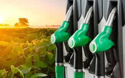 agricultura e biocombustíveis no Brasil