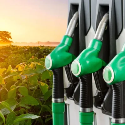 agricultura e biocombustíveis no Brasil