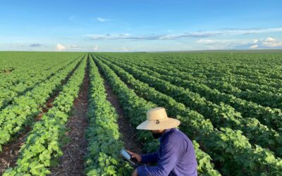 agricultura-no-brasil-produtor-trabalhando-na-lavoura