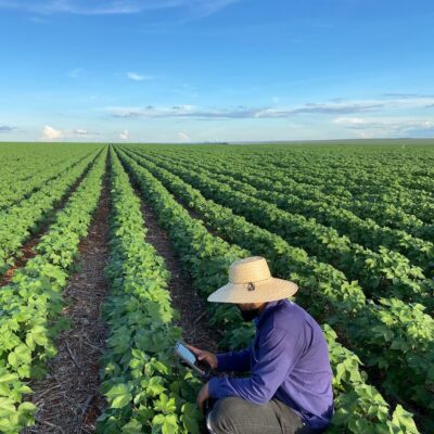 agricultura-no-brasil-produtor-trabalhando-na-lavoura