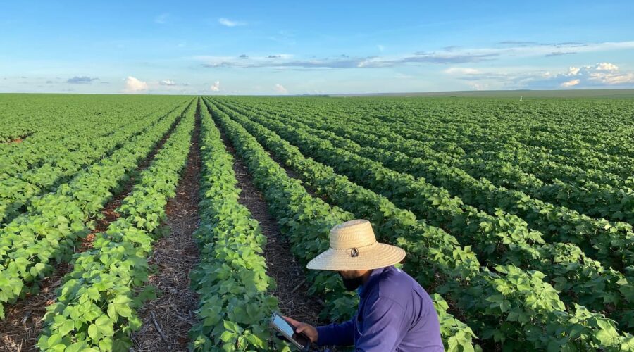 agricultura-no-brasil-produtor-trabalhando-na-lavoura