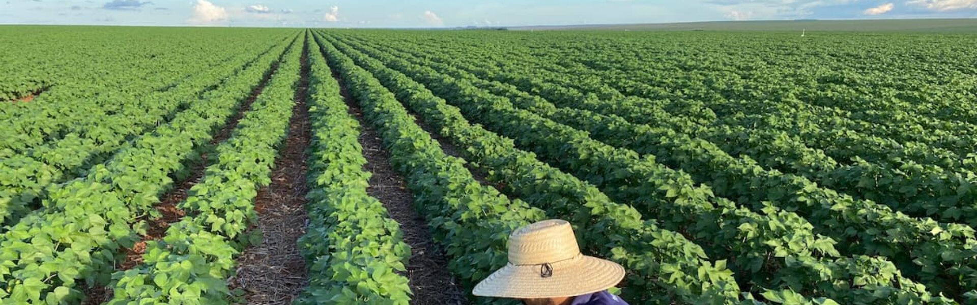 agricultura-no-brasil-produtor-trabalhando-na-lavoura